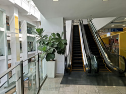 The Central (D1), Retail #562444591